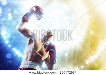 Box Professional Figter On The Ring In Lights