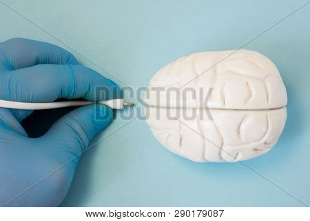 Brain And Plug Concept Photo. 3d Figure Of Human Brain Is Next To Hand Of Scientist Or Doctor In Glo