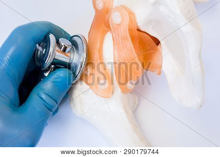 Diagnosis Of Diseases Of Joints And Bones Concept Photo. Doctor Checks Or Examine By Stethoscope Hip