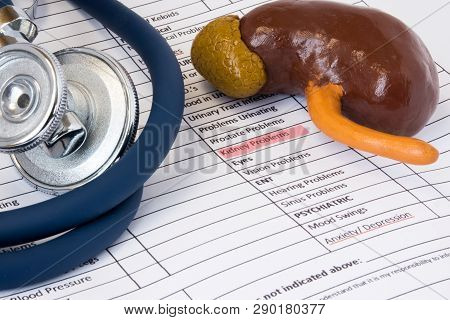 Kidney Problem Symptom Concept Photo. Highlighted Of Permanent Marker Inscription Symptom Of Kidney 