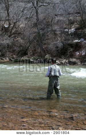 Fly Fisherman