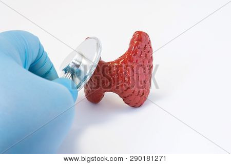 Hand Of Doctor In Glove With Stethoscope And 3d Shape Of Thyroid. Photos Idea Where Surgeon Or Gener