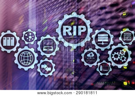 Rip Routing Information Protocol. Technology Networks Cocept.