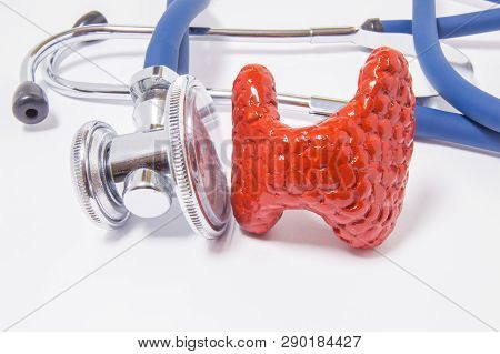 Anatomical Shape Of The Thyroid Gland Near The Stethoscope, Which Examines It. Concept Photo For Exa