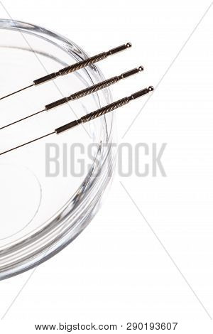 Silver Needles For Traditional Chinese Medicine Acupuncture. Close-up. Isolated White Background. Th