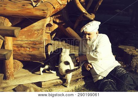 Bearded Man Cook Chef In Uniform And Hat With Long Beard On Smiling Face Holding Iron Old Tea Kettle