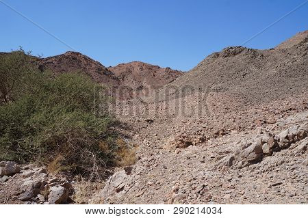 Wadi Shahamon Near Eilat In Southern Israel