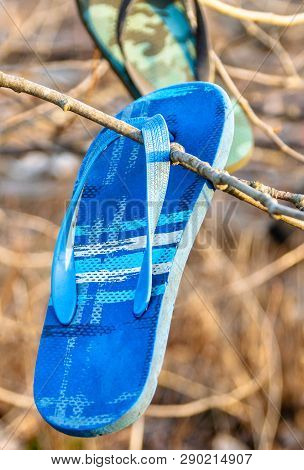 Old Lost And Discarded Flip-flop Sandals Hanging In Branches Of Seaside Trees.