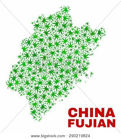 Vector Cannabis Fujian Province Map Mosaic. Concept With Green Weed Leaves For Cannabis Legalize Cam