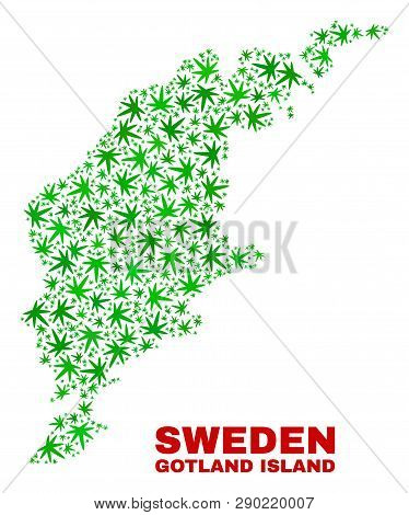 Vector Marijuana Gotland Island Map Mosaic. Concept With Green Weed Leaves For Marijuana Legalize Ca