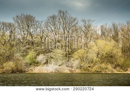 Trees On The Banks Of The River Covered With White Dust.