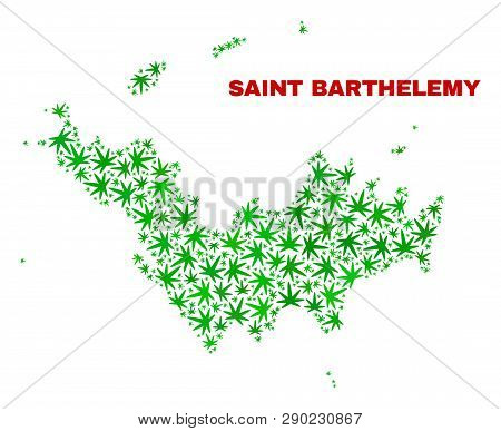 Vector Marijuana Saint Barthelemy Map Collage. Template With Green Weed Leaves For Marijuana Legaliz