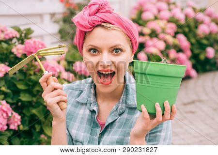 Flower Care And Watering. Soils And Fertilizers. Hydrangea. Spring And Summer. Greenhouse Flowers. H