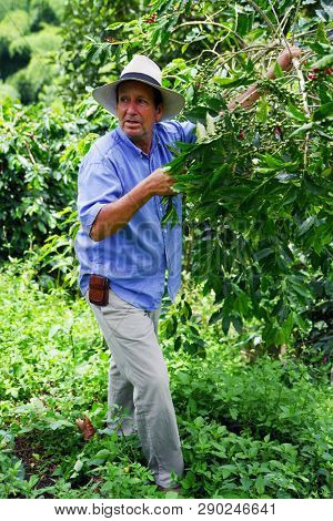 QUINDIO, COLOMBIA, 16 AUGUST, 2018 : Tourists taking part at a guided coffee tour in Quindio, Colombia, South America