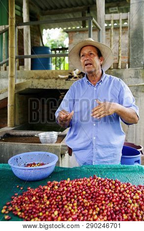QUINDIO, COLOMBIA, 16 AUGUST, 2018 : Tourists taking part at a guided coffee tour in Quindio, Colombia, South America