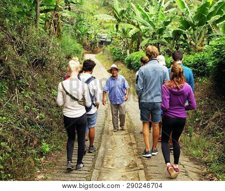 QUINDIO, COLOMBIA, 16 AUGUST, 2018 : Tourists taking part at a guided coffee tour in Quindio, Colombia, South America