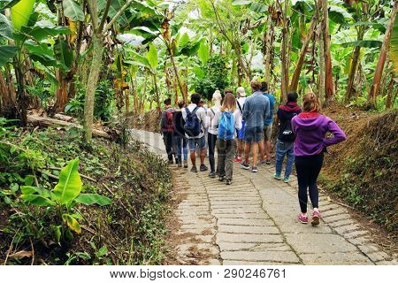 QUINDIO, COLOMBIA, 16 AUGUST, 2018 : Tourists taking part at a guided coffee tour in Quindio, Colombia, South America