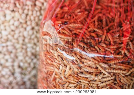 Rod Duantod (fried Bamboo Caterpillars) In Clear Plastic Bag.
