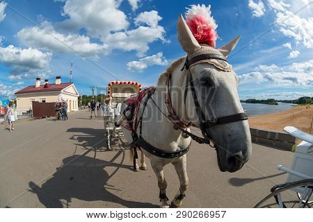 Veliky Novgorod, Russia - August 14, 2018: Horse Harnessed To A Carriage For Walking Around The City
