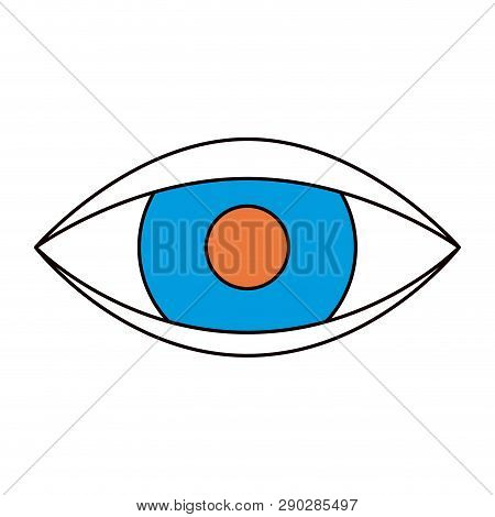 Silhouette Color Sections Of Eye Symbol Browser Vector Illustration