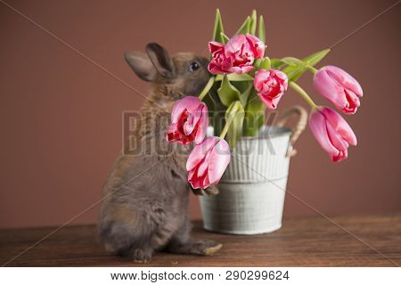 Easter chickens in a basket with eggs. ellow Easter chickens in a colorful basket with flowers.