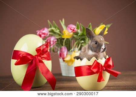 Easter Chickens In A Basket With Eggs. Ellow Easter Chickens In A Colorful Basket With Flowers.