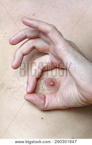 Male Hairy Nipple. Nipple With Hair. Easy Erotica And Humor. Without Epilation. Male Hand. Bdsm