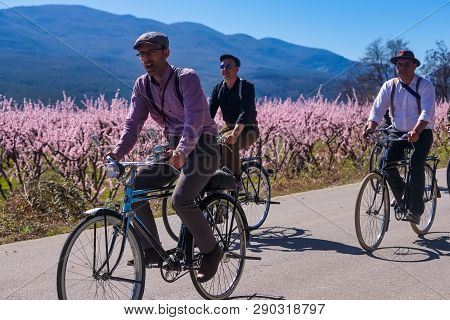 Cycling On The Flowering Peach Trees In The Veria Plain, Organized For The Third Time By The Veria T