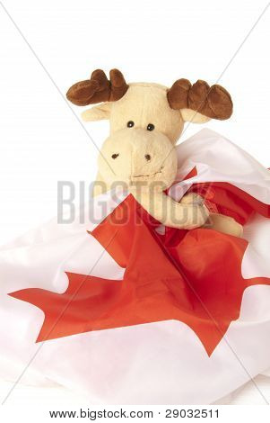 Elch hÃ¤lt eine kanadische Flagge