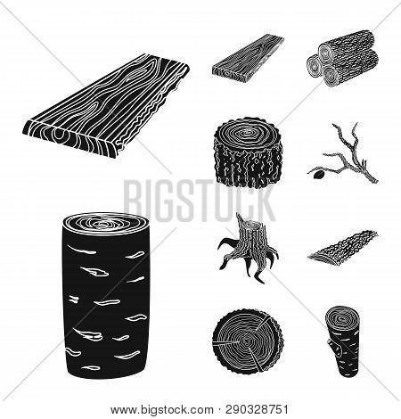 Vector Design Of Hardwood  And Construction Logo. Collection Of Hardwood  And Wood Vector Icon For S