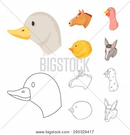 Vector Design Of Agriculture And Breeding Logo. Collection Of Agriculture And Organic  Vector Icon F
