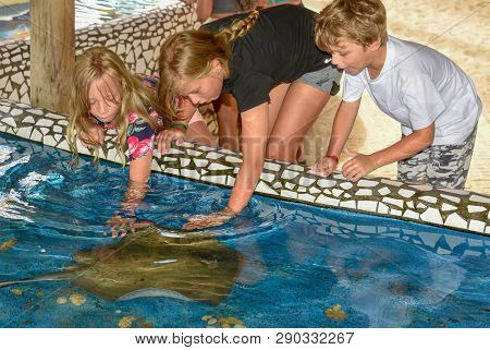 Children Caressing Breed Fish On Project Tamar Tank At Praia Do Forte In Brazil