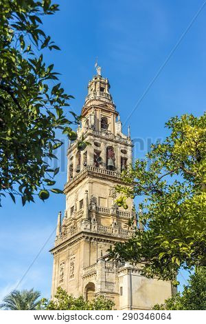 Mosque Cathedral Of Cordoba In Andalusia, Spain