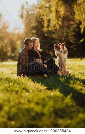 Cute Cuple With Dog Border Collie On Green Field In Park Under Tree In Sunshine