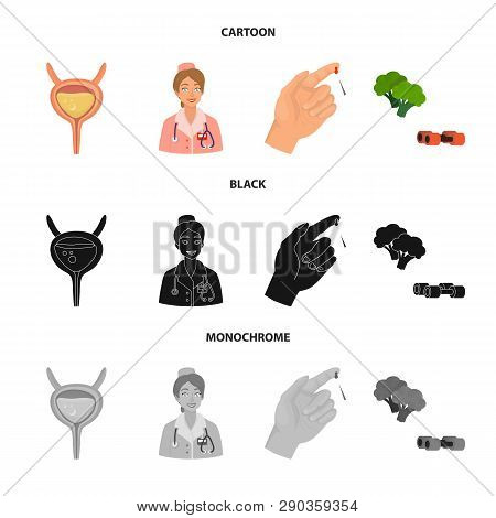 Vector Design Of Diet And Treatment  Icon. Set Of Diet And Medicine Vector Icon For Stock.