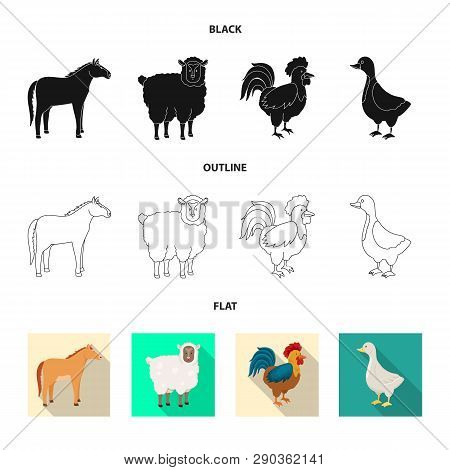 Vector Design Of Breeding And Kitchen  Logo. Set Of Breeding And Organic  Stock Vector Illustration.
