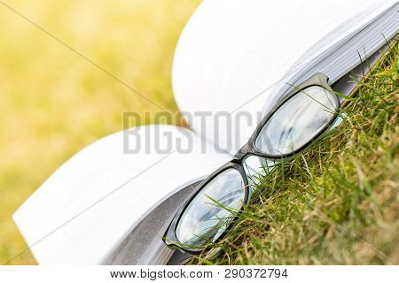 Camping With A Book. Reading Lying On The Grass Under The Sun.