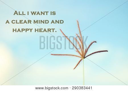 Positive Inspirational Motivational Quote-all I Want Is A Clear Mind And Happy Heart. With Single Gr