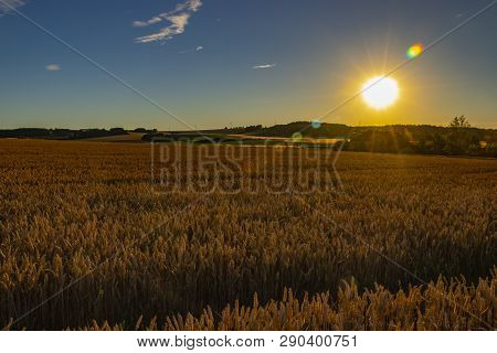 The Filed Of Oat On The Countryside Near Domazlice. It Is Situated In Czech Republic In Europe. Ther
