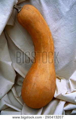 Pumpkin Pear-shaped Orange, Located Vertically On A White Linen Tablecloth.