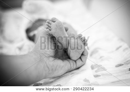 Fathers Hand Holds Two Small Feet Of His Newborn Baby Girl Doughtier. Black And White Photography.
