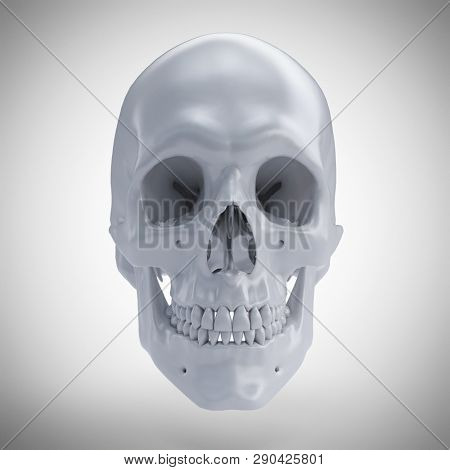 3d rendered medically accurate illustration of a human skull