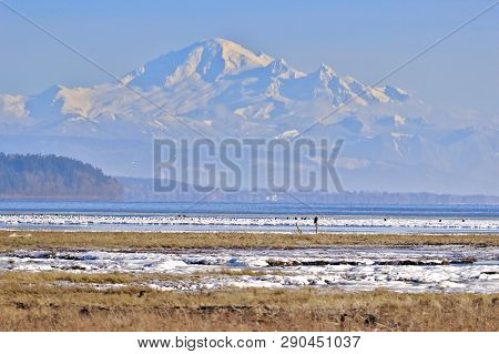 Mount. Baker In Washington Towering Over Landscape At Boundary Bay