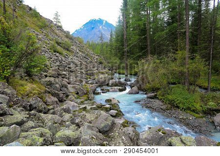 Flowing Forest Mountain River. Blue Kucherla River In Belukha National Park, Altai Mountains, Siberi