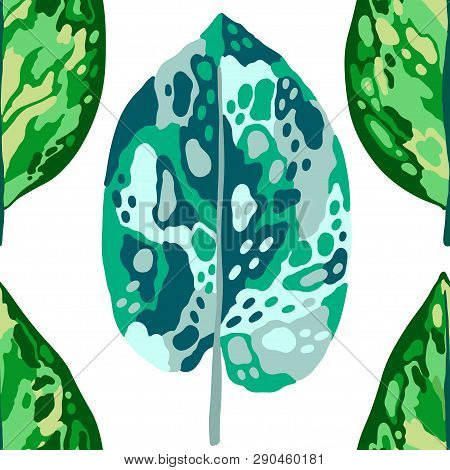 Seamless Pattern Tropical Leaves Diffenbachia Collection. Vector Isolated Elements On The White Back