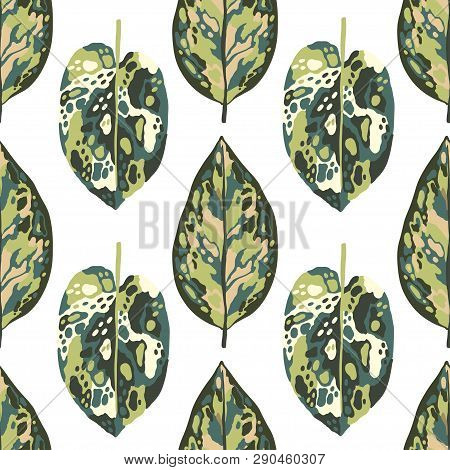 Seamless Pattern Tropical Leaves Diffenbachia Collection. Vector Isolated Elements On The White Back