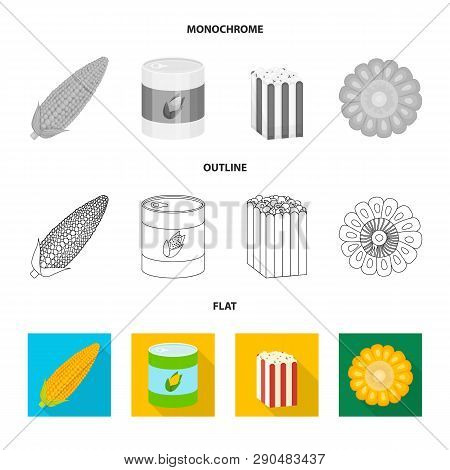 Vector Illustration Of Cornfield And Vegetable Logo. Collection Of Cornfield And Vegetarian Stock Ve