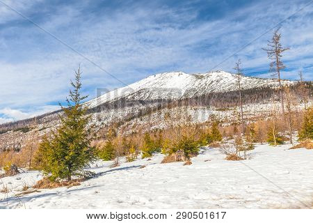 View Of The Landscape With Snowy Mountains In The Background. The Slavkovsky Stit - Peak In High Tat