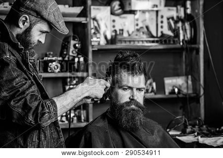 Barber With Clipper Trimming Hair On Temple Of Client. Hipster Lifestyle Concept. Hipster Client Get