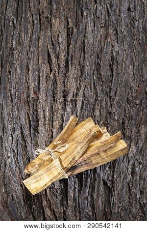 Bursera Graveolens, Essence And Resin. In Spanish (